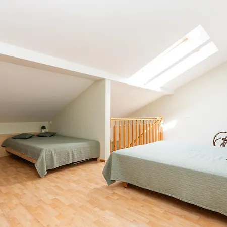 Apartamentai Nuomai Salia Birutes Parko דירה פלאנגה