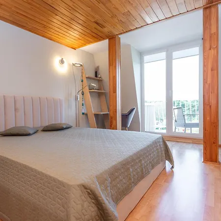Apartamentai Nuomai Salia Birutes Parko