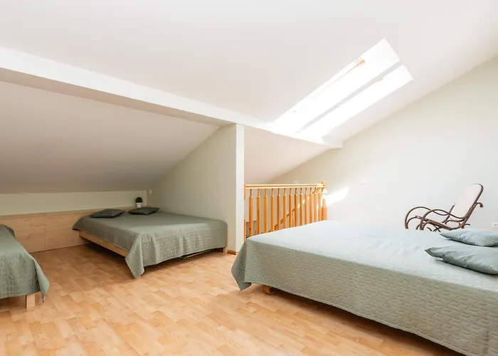 Apartamentai Nuomai Salia Birutes Parko Apartman Palanga