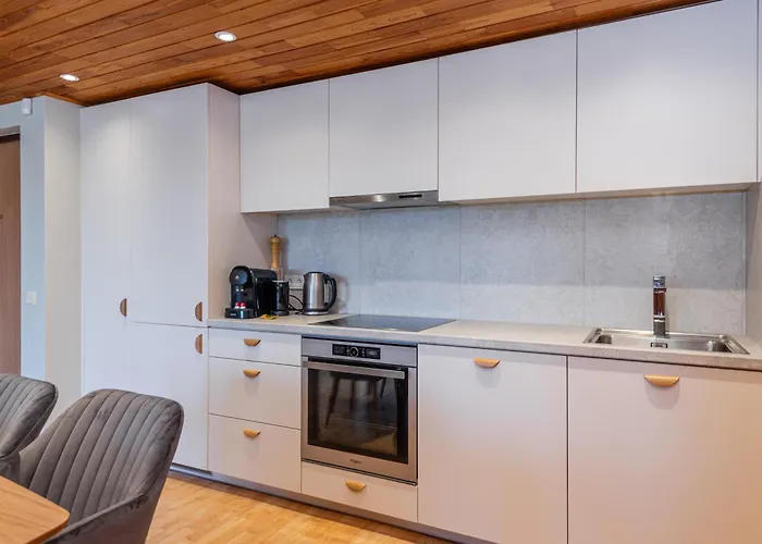 Apartamentai Nuomai Salia Birutes Parko *